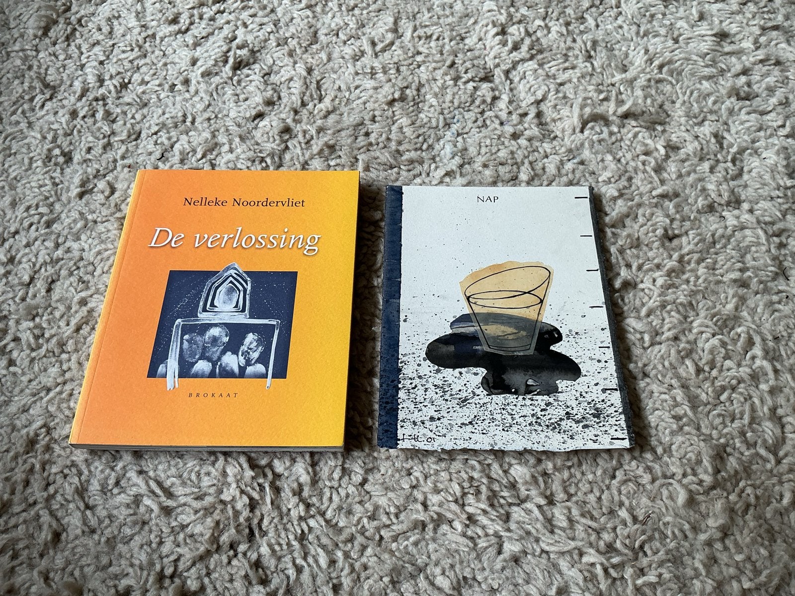 De verlossing & NAP - Nelleke Noordervliet & Lewisrup, Ophalen of Verzenden, Nieuw, Nederland