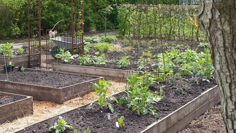 Moestuingrond compost €29,50 per M3 (ACTIE!!!), Tuin en Terras, Aarde en Mest, Compost, Ophalen of Verzenden