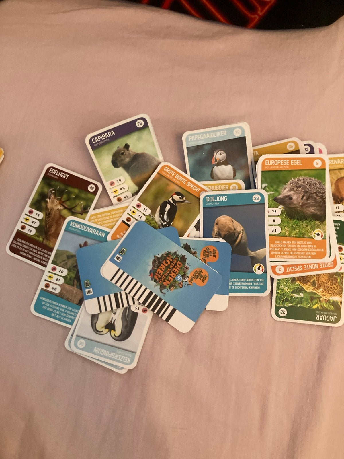 Dierenkaarten: Capibara, Egel, Papegaaiduiker, Specht, Ophalen of Verzenden, Overige typen