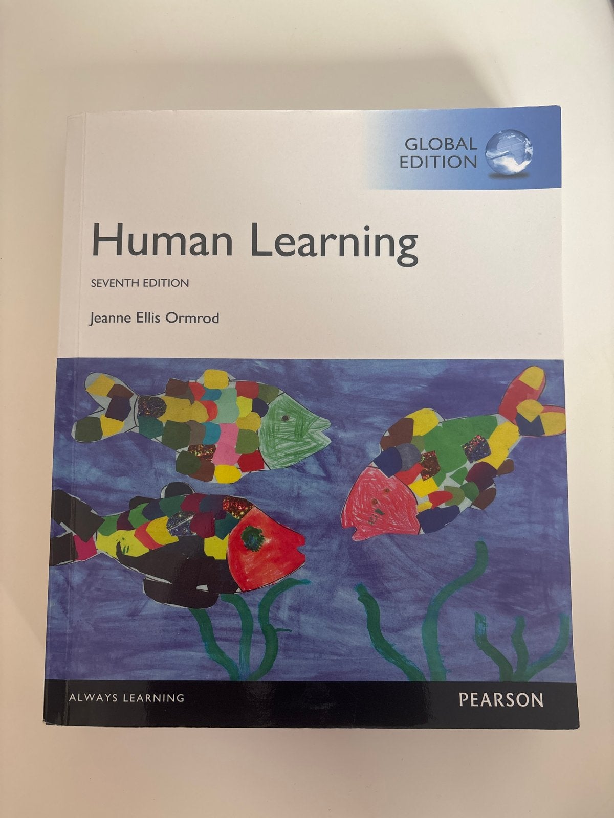 Human Learning - Zevende Editie - Jeanne Ellis Ormrod, Boeken, Ophalen of Verzenden, Gamma, Gelezen, WO