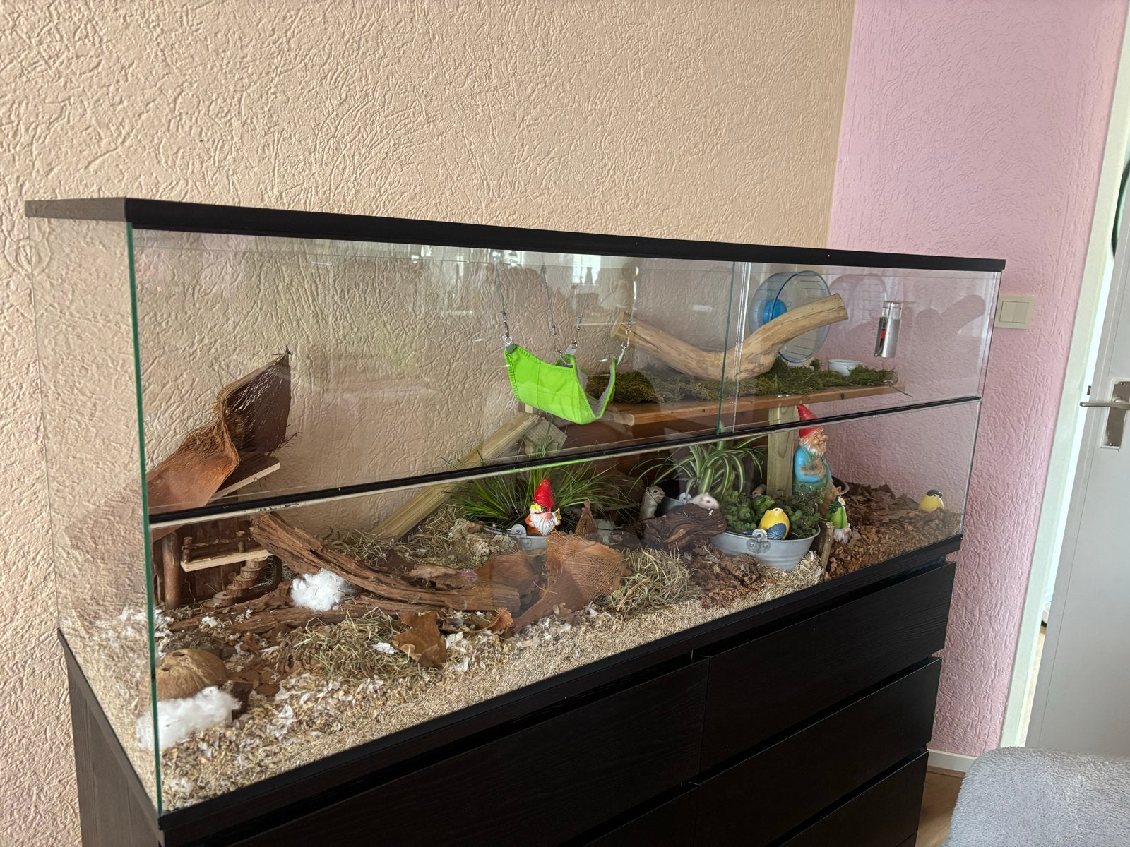 Foto 4 van Groot Terrarium