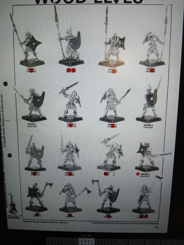 GEZOCHT! Wood elf warriors, Hobby en Vrije tijd, Wargaming, Ophalen of Verzenden