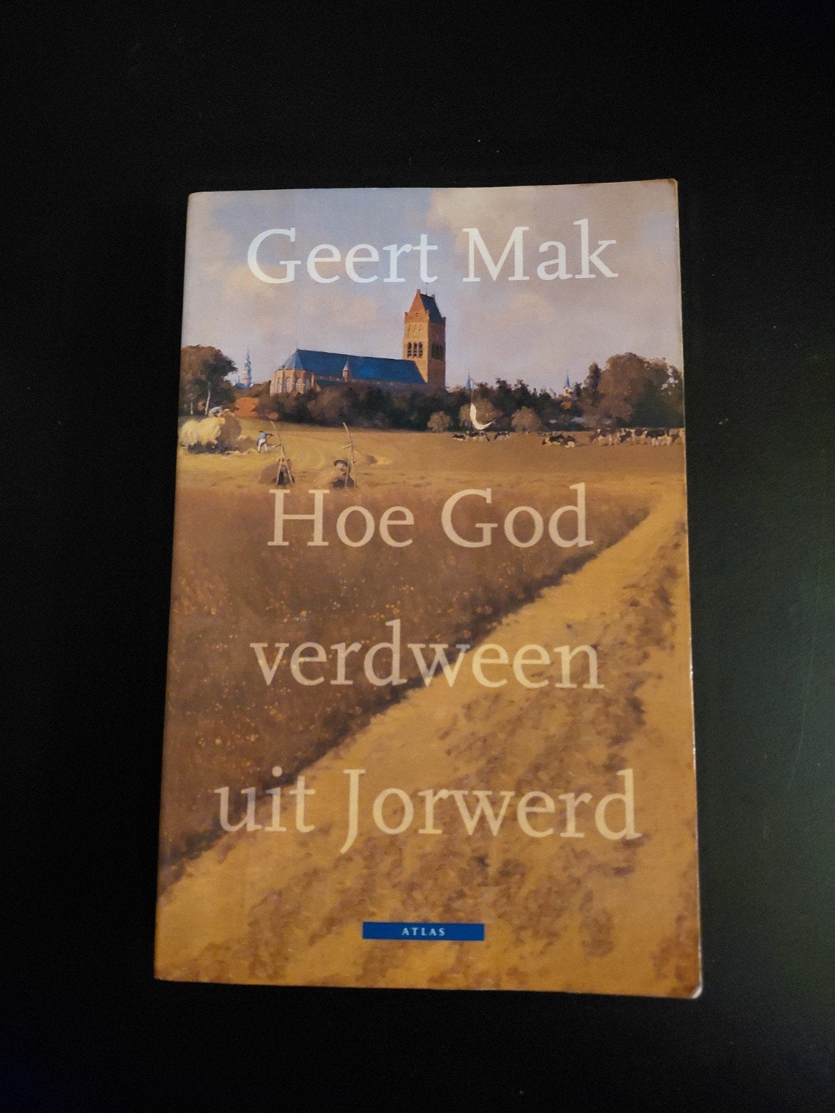 Geert Mak - Hoe God verdween uit Jorwerd, Boeken, Literatuur, Ophalen of Verzenden, Zo goed als nieuw, Geert Mak