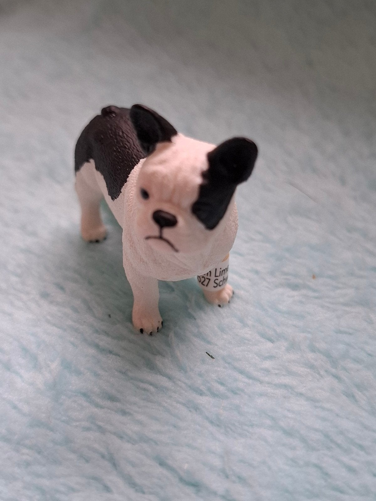 Schleich Franse Bulldog, Ophalen of Verzenden, Nieuw