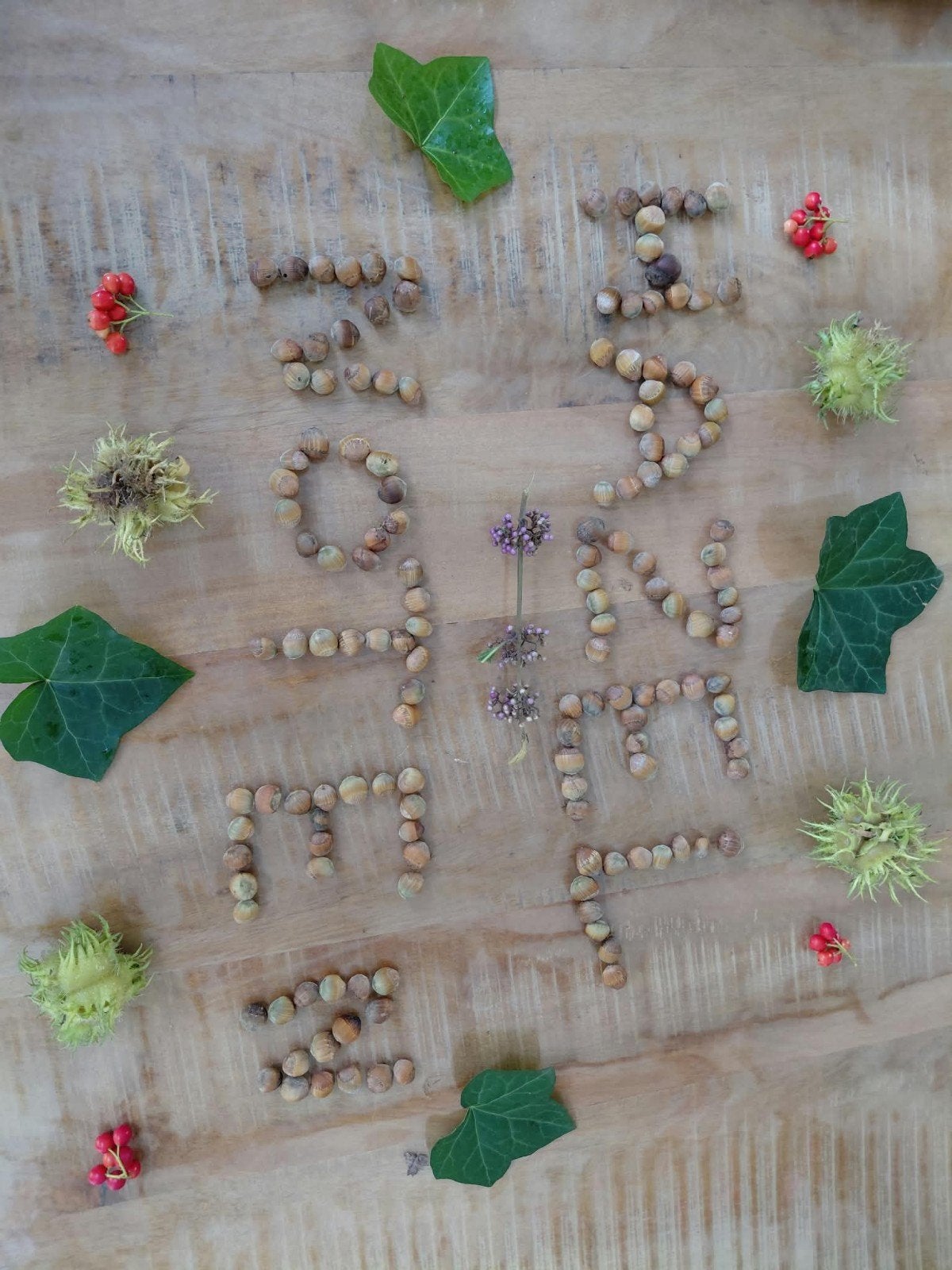 Verse hazelnoten - 5 euro per kilo, Ophalen of Verzenden