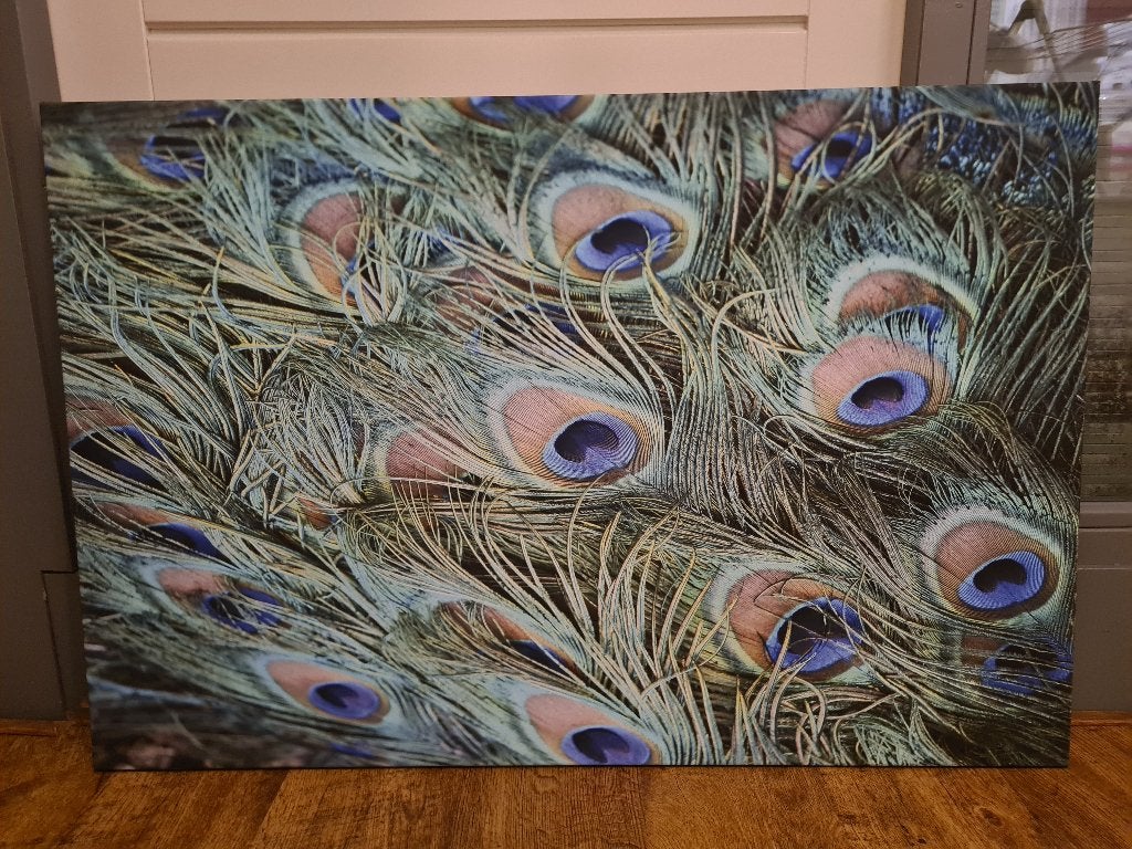Groot canvas schilderij pauwenveren 105x70, Ophalen, 50 – 75, Zo goed als nieuw, Schilderij