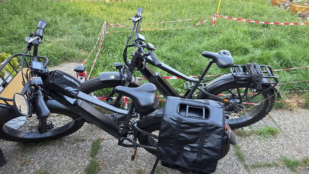 2x radrhino 6+, Fietsen en Brommers, Ophalen, Gebruikt, Frame