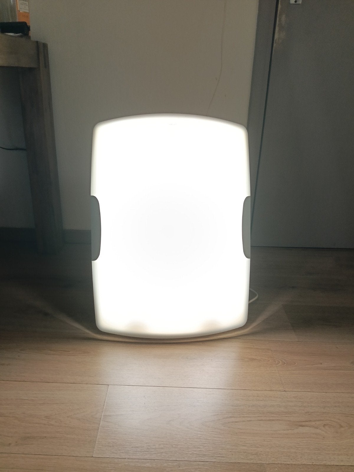 Philips daglicht lamp, Ophalen of Verzenden, Rechthoekig