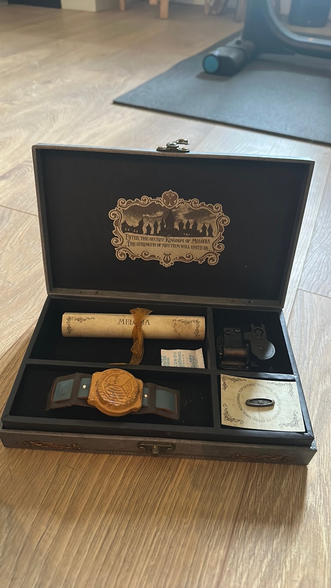 Tomorrowland doosje MELODIA, Tickets en Kaartjes, Evenementen en Festivals, Eén persoon