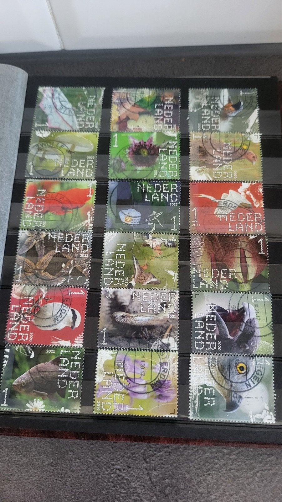 18 stuks Beleef de Natuur.  Diverse jaren., Ophalen of Verzenden