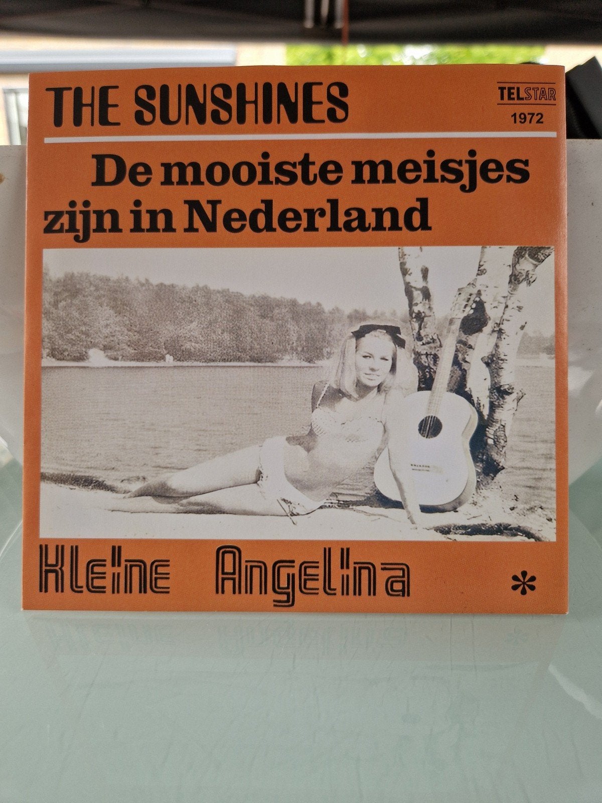 THE SUNSHINES.  HERPERS., Ophalen of Verzenden, Zo goed als nieuw, 12 inch, Levenslied of Smartlap
