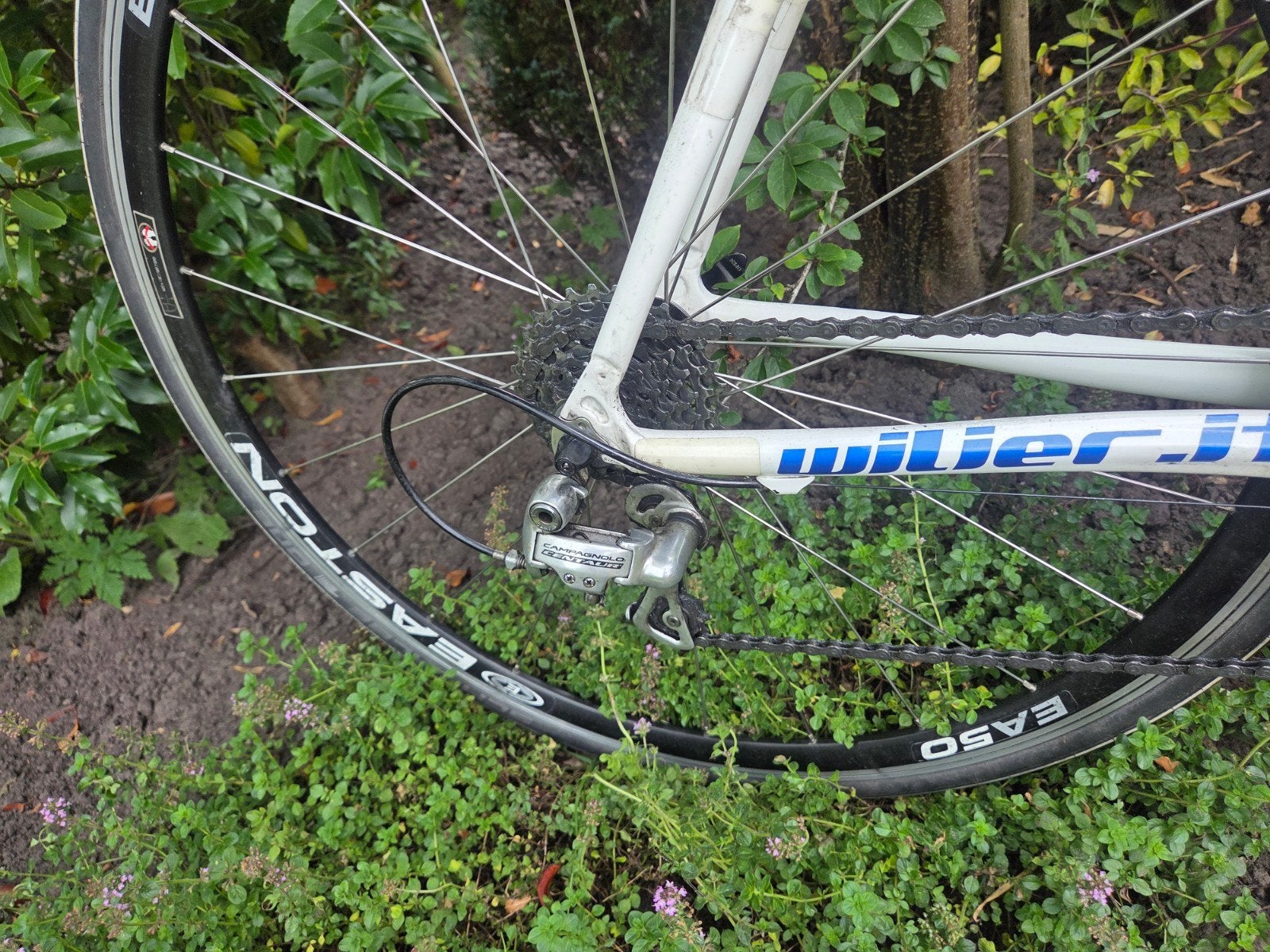 Wilier Racefiets - Ideaal voor beginners (frame 53 cm), Fietsen en Brommers, Ophalen, Zo goed als nieuw