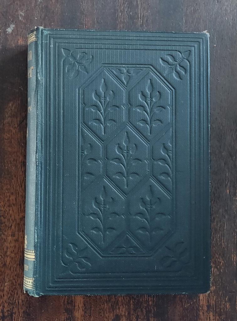 Thrown Together - Florence Montgomery (Antiek Boek), Boeken, Ophalen of Verzenden, Gelezen, Florence Montgomery, Europa overig