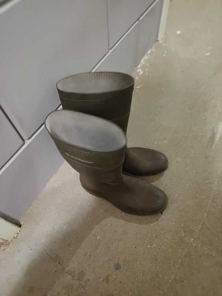 Dunlop regenlaarzen, maat 44, groen, Ophalen of Verzenden, Regenlaarzen, Dunlop, Gedragen