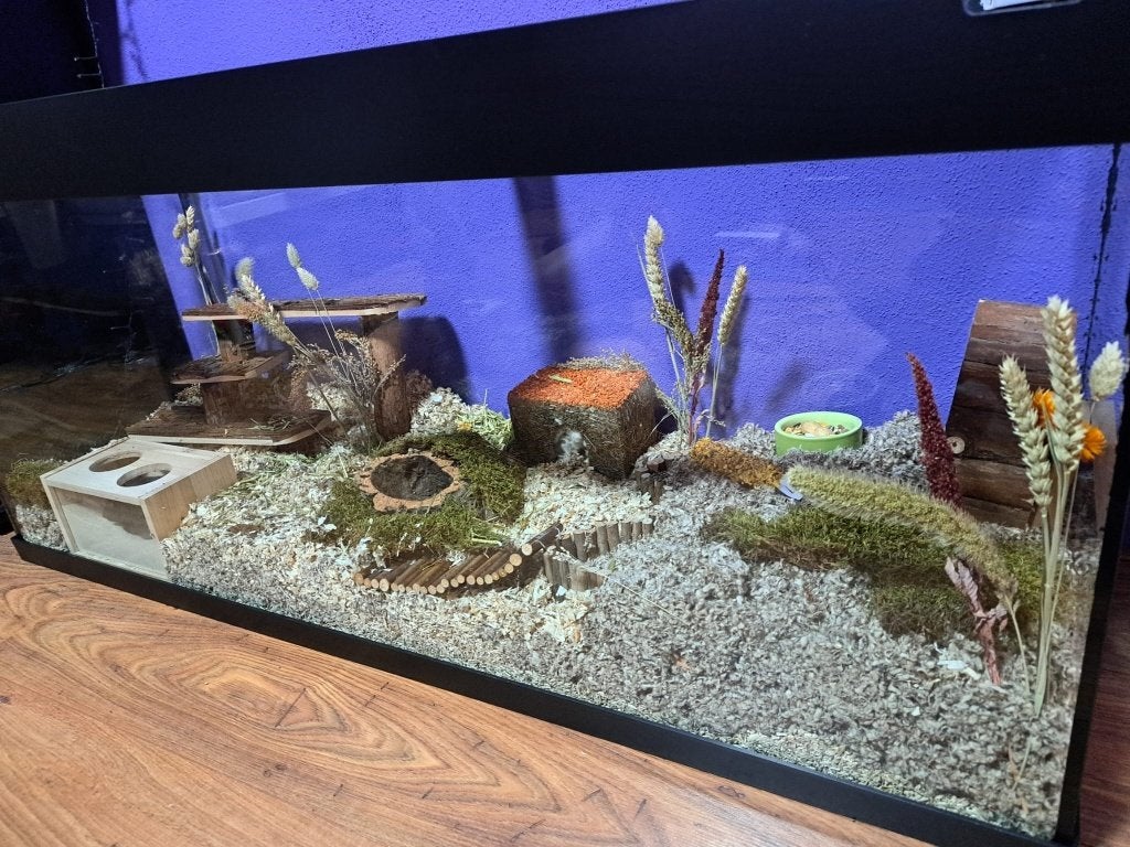 Aquarium voor knaagdieren. 120 x 40 x 55. Evt. met kast, Overige typen, Hamster, Ophalen, Minder dan 60 cm