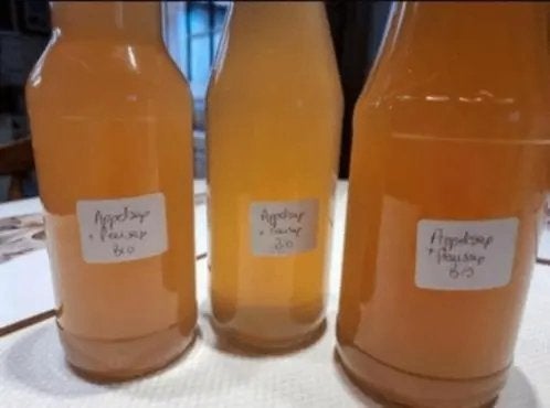 Bio appel+peer sap, uit eigen tuin, Ophalen of Verzenden