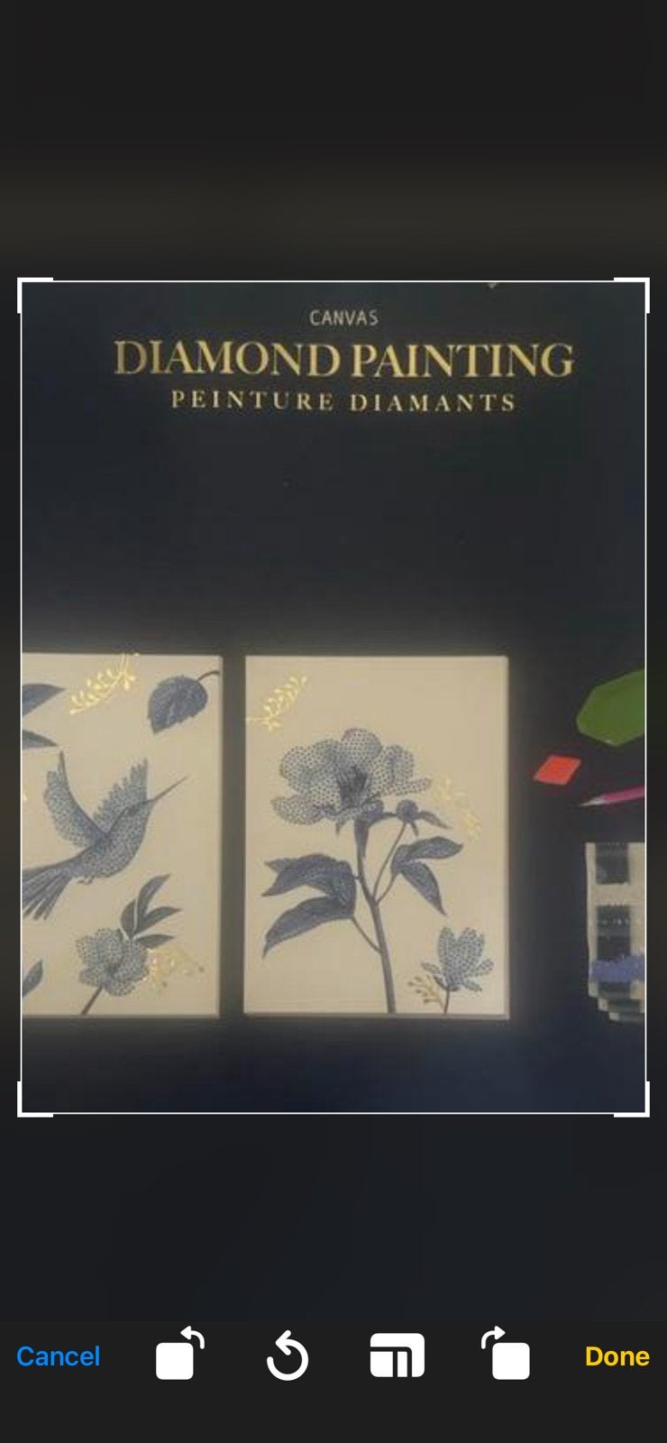 Nieuwe Diamond painting, Ophalen of Verzenden, Nieuw, Diamond painting