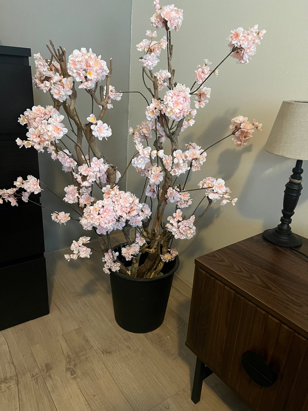 Kunst Bloesemboom, Ophalen, Zo goed als nieuw