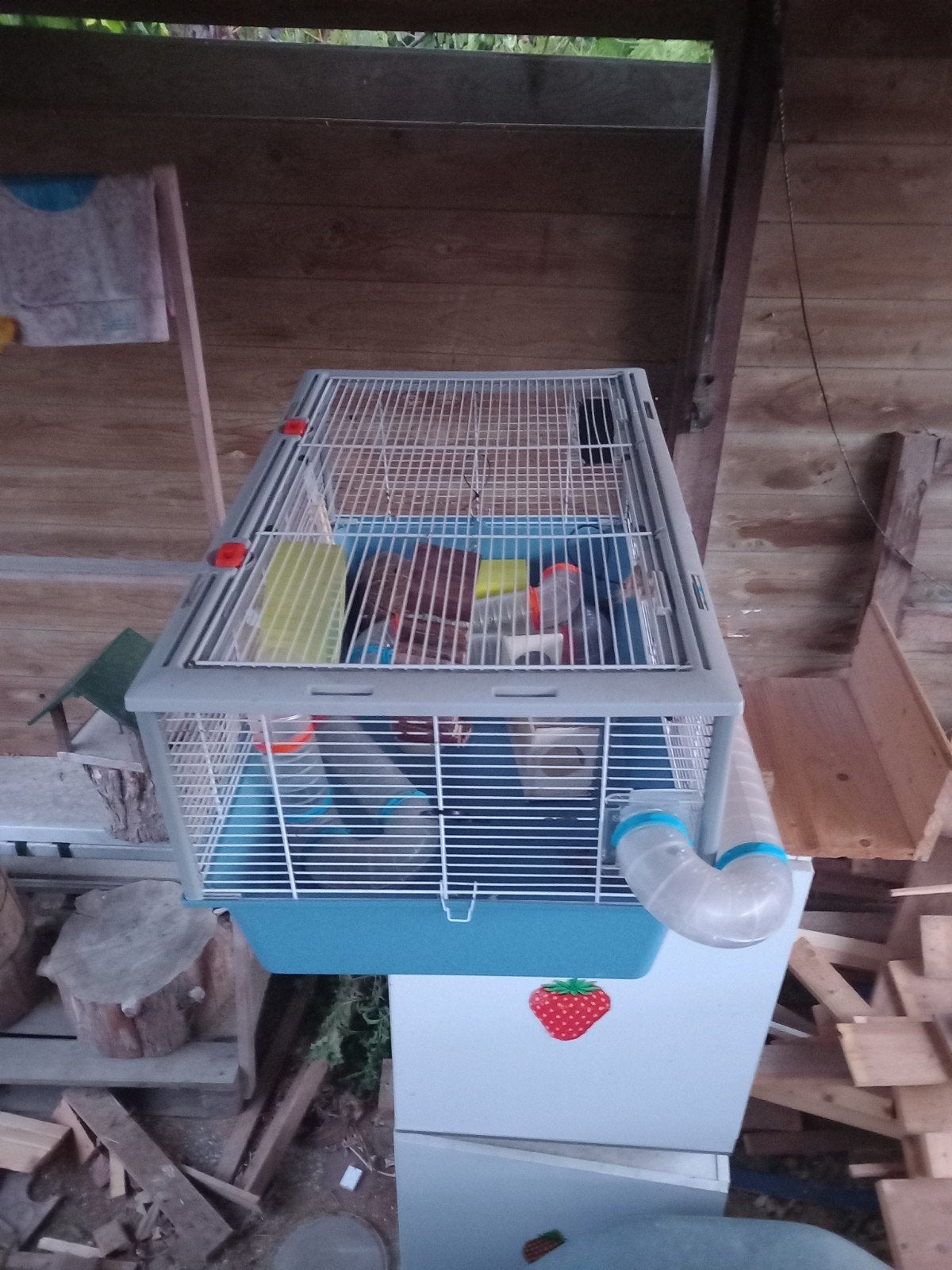 gratis hamsterkooi, Dieren en Toebehoren, Kooi, Gebruikt, Minder dan 75 cm, Ophalen