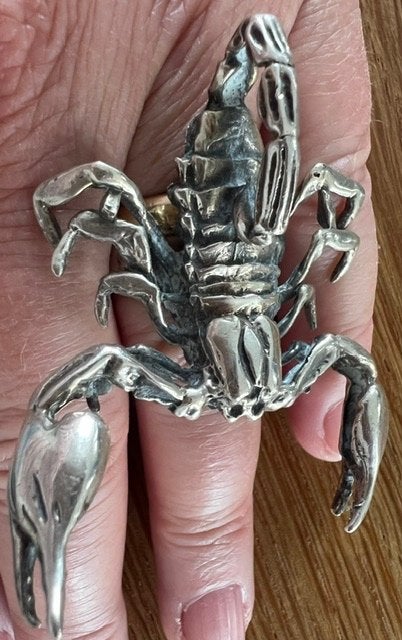 Super mooie zilveren ring met schorpioen, maat 20,5., 20 of groter, Ophalen of Verzenden, Zo goed als nieuw, Dame of Heer