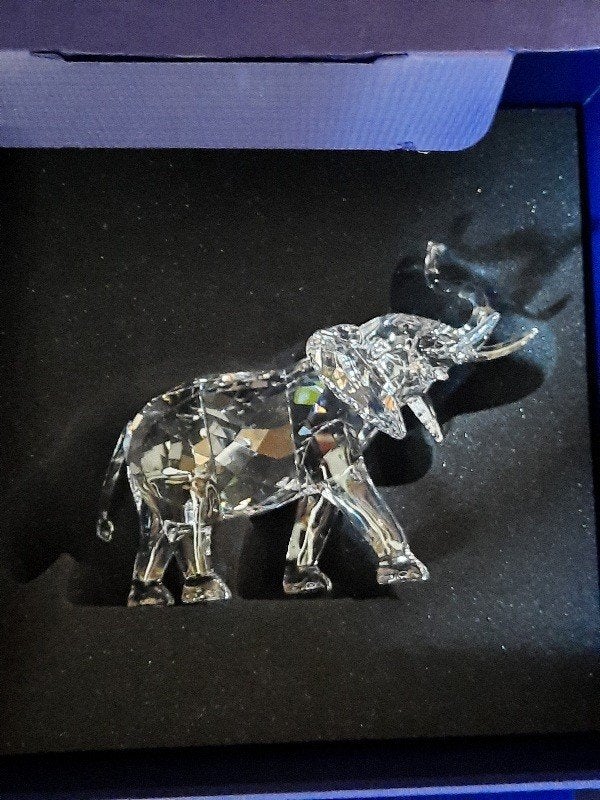 Swarovski Olifant, Ophalen of Verzenden, Nieuw, Figuurtje