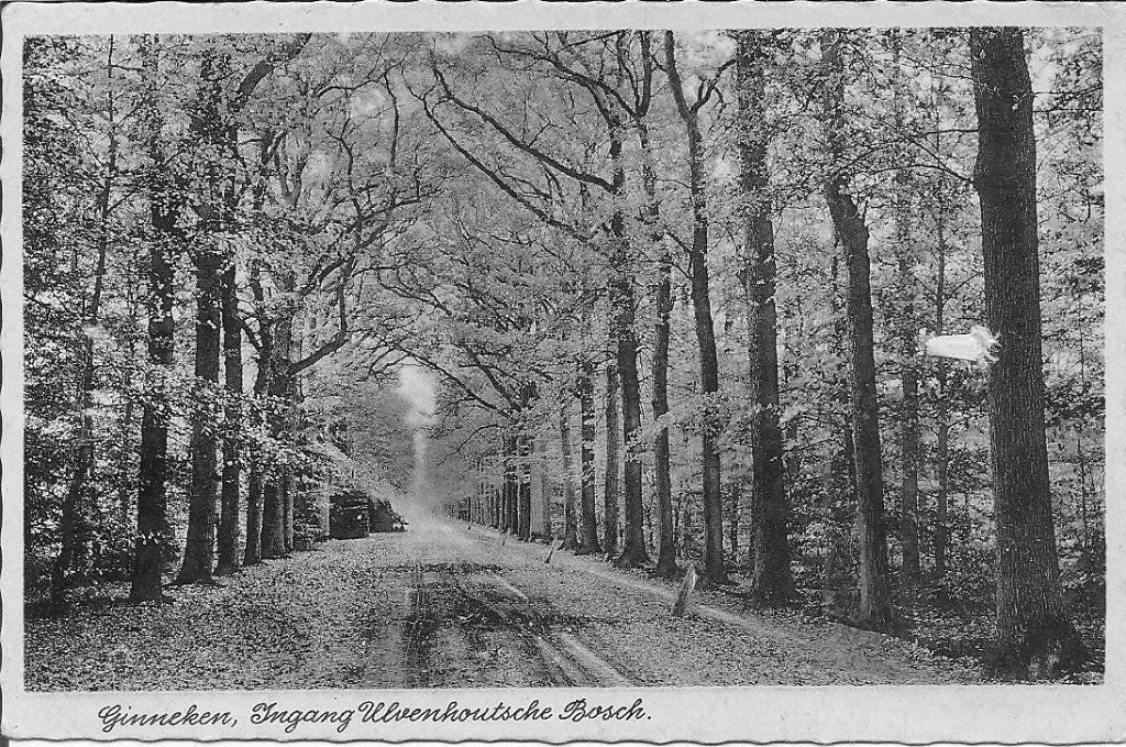 Oude ansichtkaart Ginneken, Ingang Ulvenhoutsche Bosch 1941, Ophalen of Verzenden, 1940 tot 1960, Gelopen, Noord-Brabant