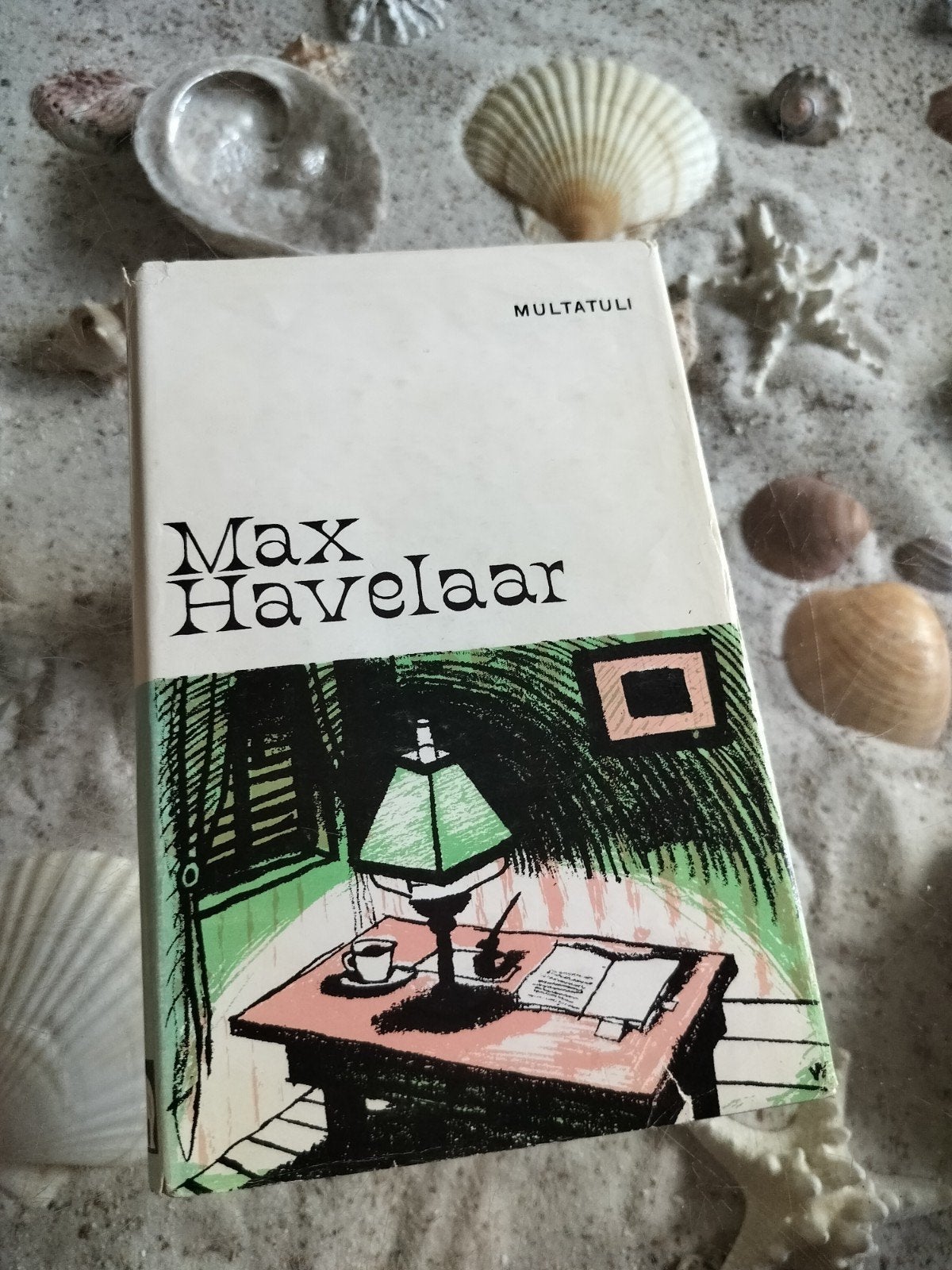 Multatuli - Max Havelaar, Ophalen of Verzenden, Gelezen