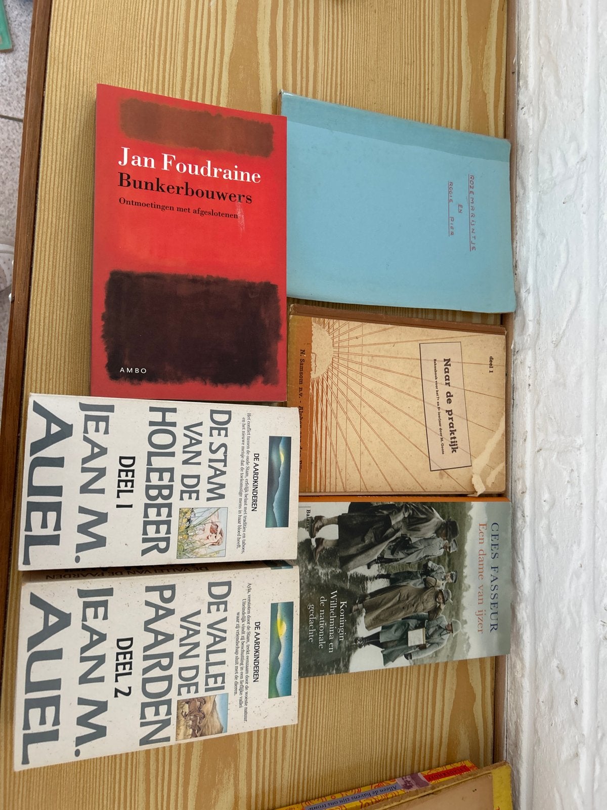 Diverse boeken: Foudraine, Auel, Fasseur en meer, Ophalen, Gelezen, Nederland