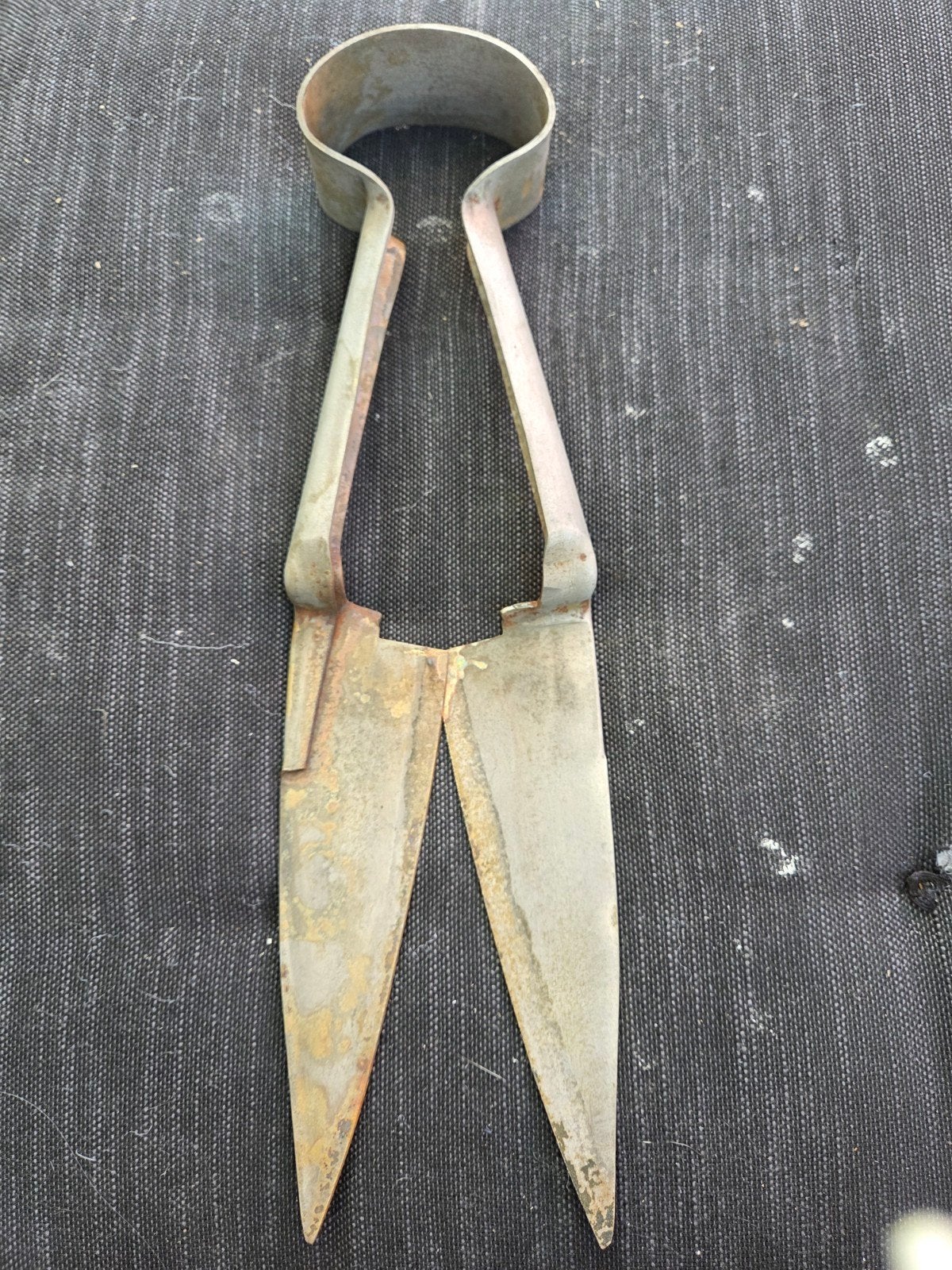 Antieke schaapscheerdersschaar., Antiek en Kunst, Antiek | Gereedschap en Instrumenten, Ophalen of Verzenden