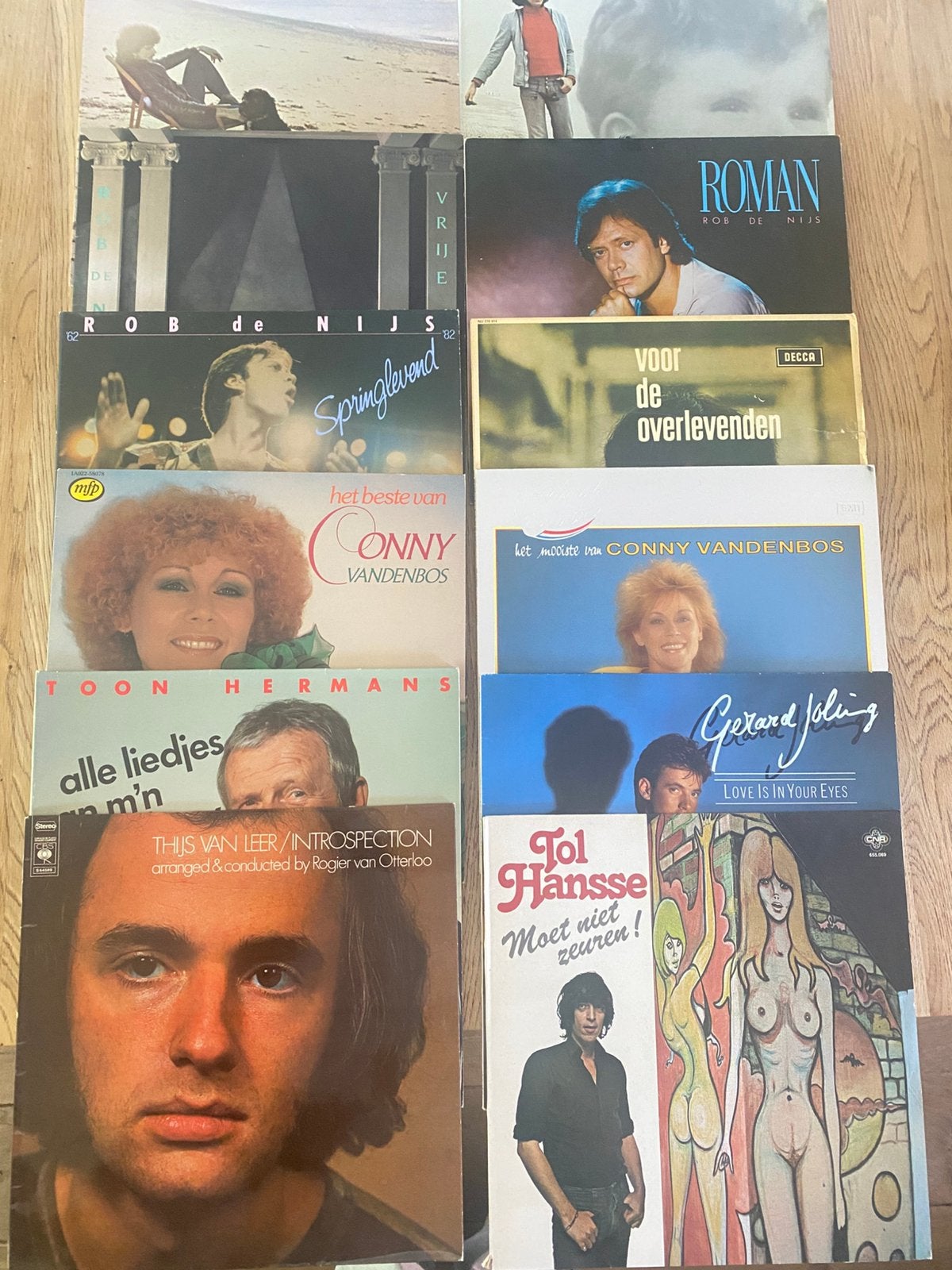 10 Nederlandse LP's - Rob de Nijs, Conny Vandenbos, Toon, Ophalen, Gebruikt, 1980 - 1989, Levenslied of Smartlap