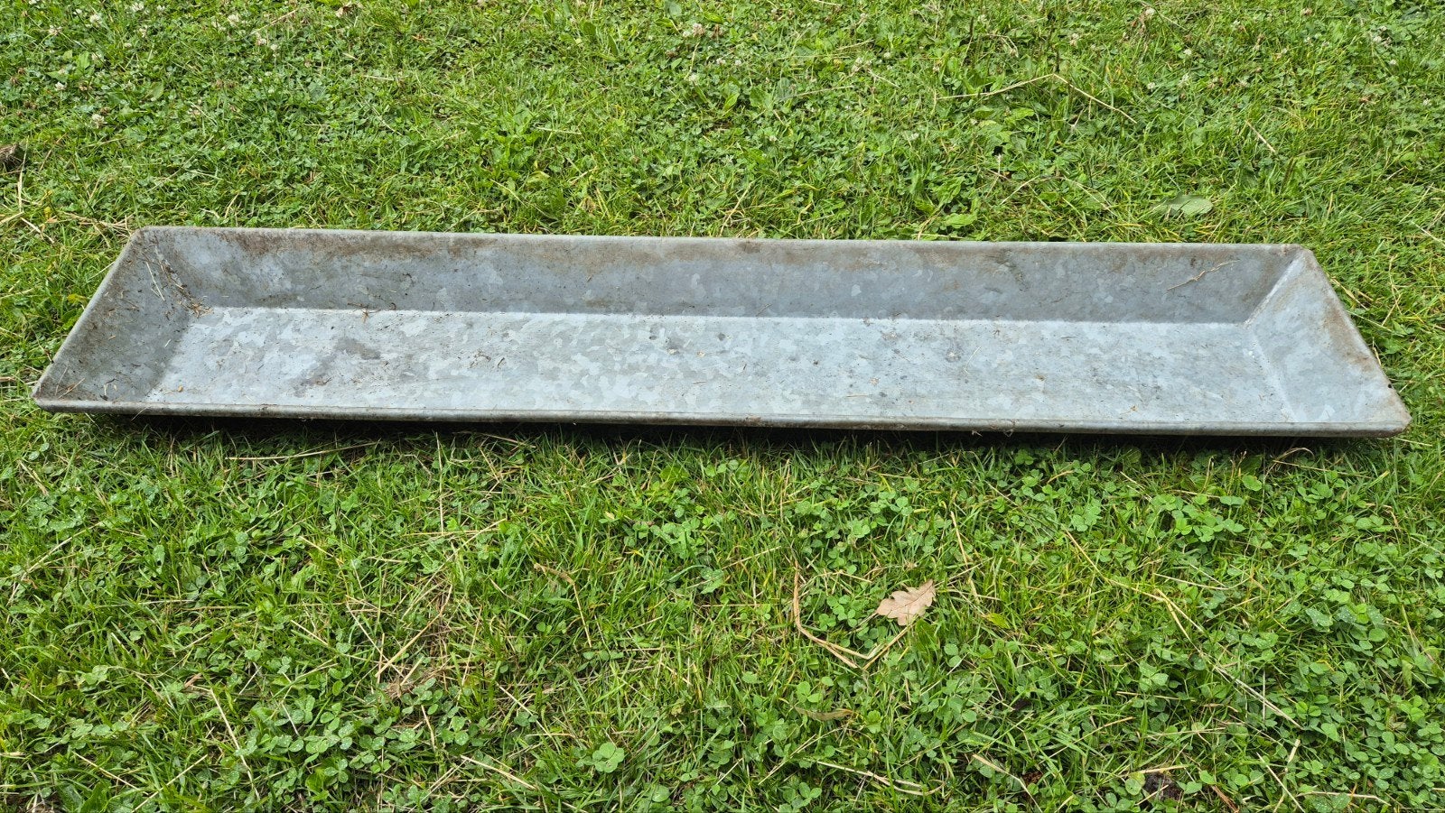 Voerbak, Meerdere dieren, Schaap