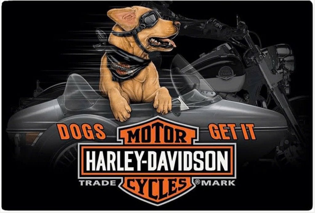 Harley Davidson metalen reclamebord, Ophalen of Verzenden, Nieuw