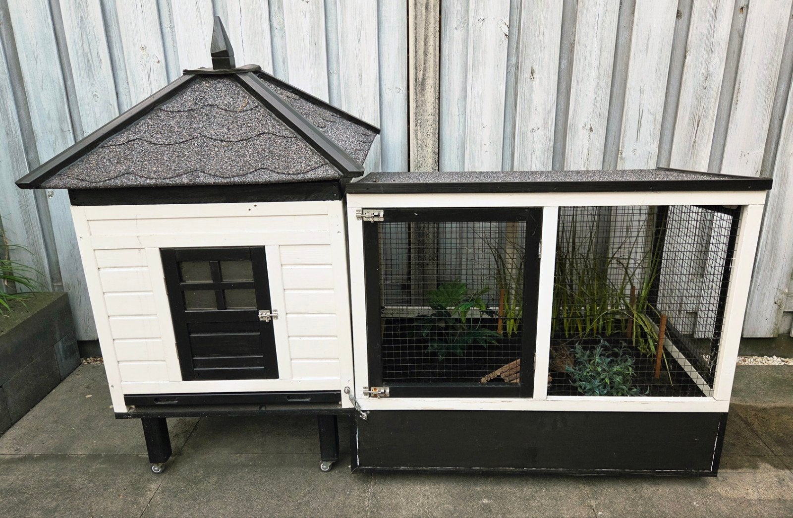 kwartelhok compleet, alles wat je ziet., Dieren en Toebehoren, Pluimvee