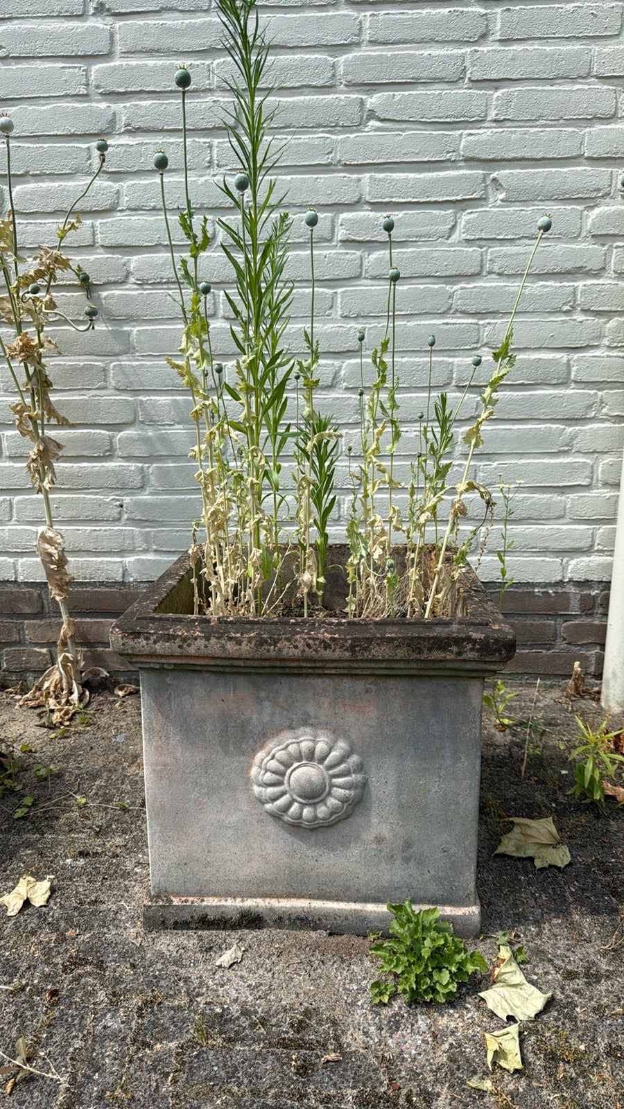 GRATIS, Ophalen, Kunststof, Minder dan 30 cm, Rond