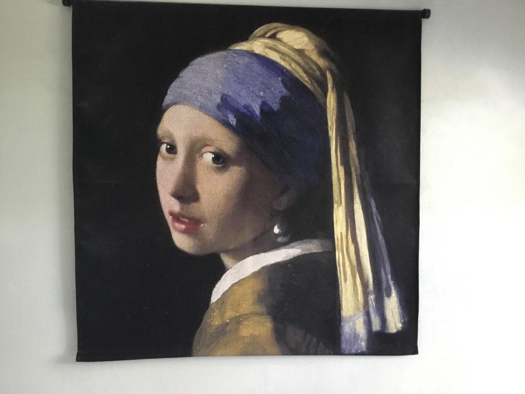 Wandkleed Meisje met de parel, Ophalen, Zo goed als nieuw