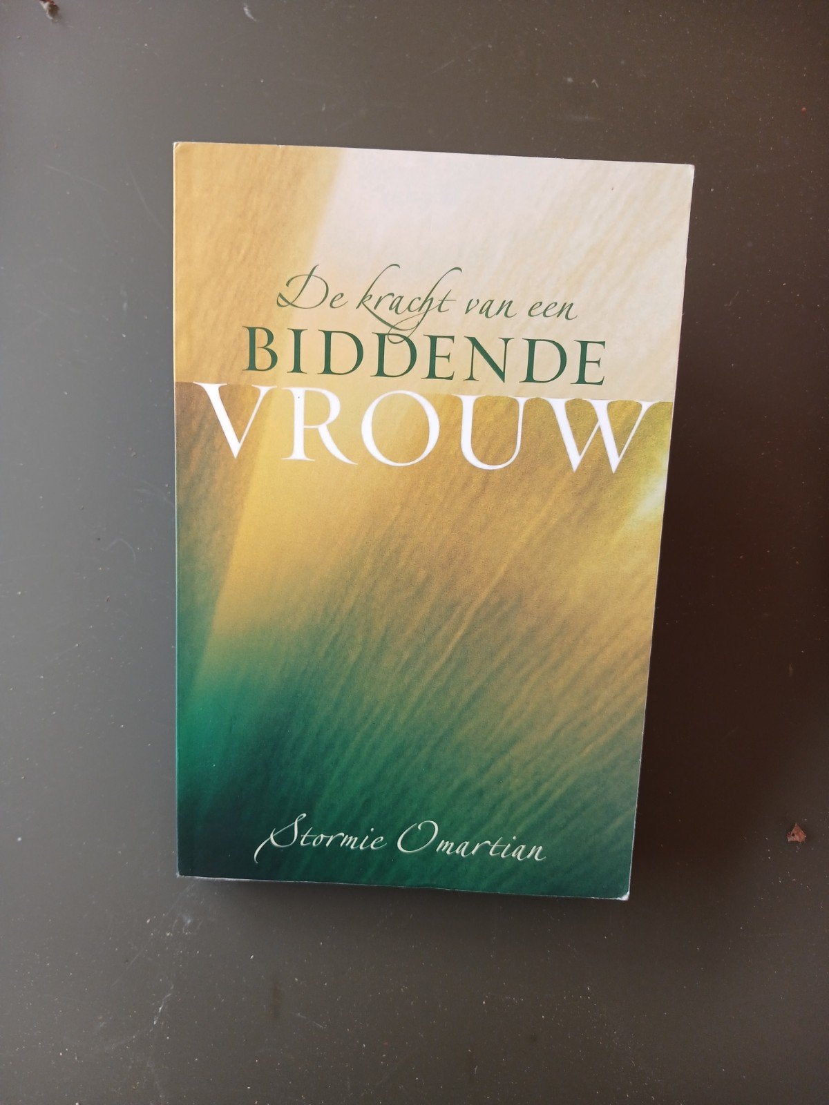 De Geest  Moderne Man & De Kracht van een Biddende Vrou, Ophalen of Verzenden
