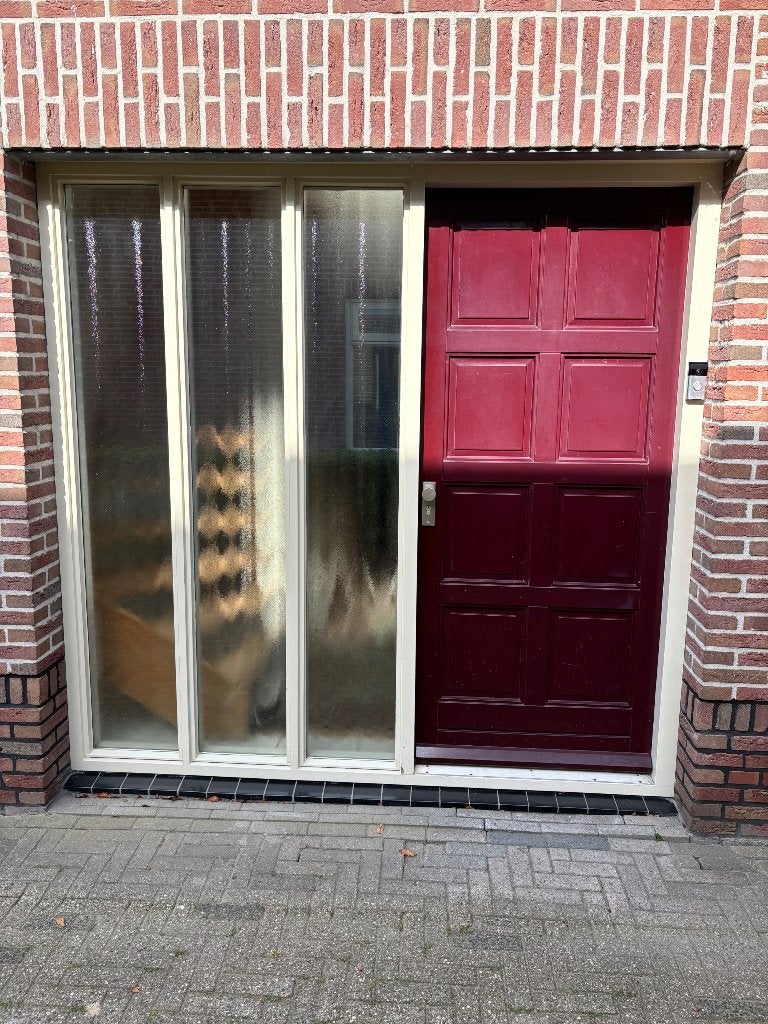 Buitendeur 925x2115, Doe-het-zelf en Verbouw, Ophalen, Gebruikt, 80 tot 100 cm, Buitendeur