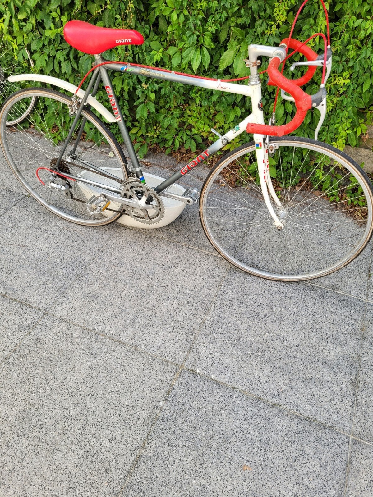 Leuke Vintage Giant racefiets framemaat 56, Ophalen, 28 inch, Gebruikt, Velgrem