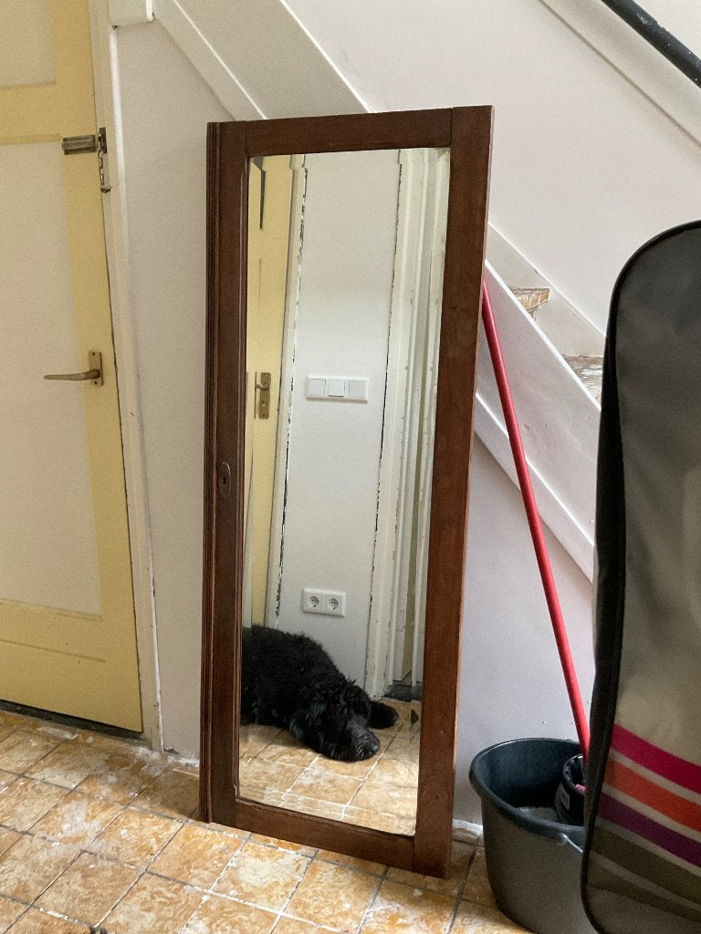 Kastdeur met spiegel, Ophalen, Gebruikt, 100 tot 150 cm, Rechthoekig
