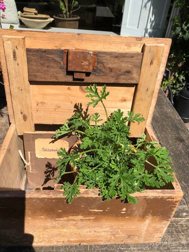 Brocante kistje, Ophalen of Verzenden