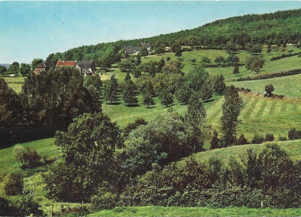 krt090 Ongelopen ansichtkaart Panorama Zuid Limburg, Ophalen of Verzenden, 1980 tot heden, Ongelopen, Limburg
