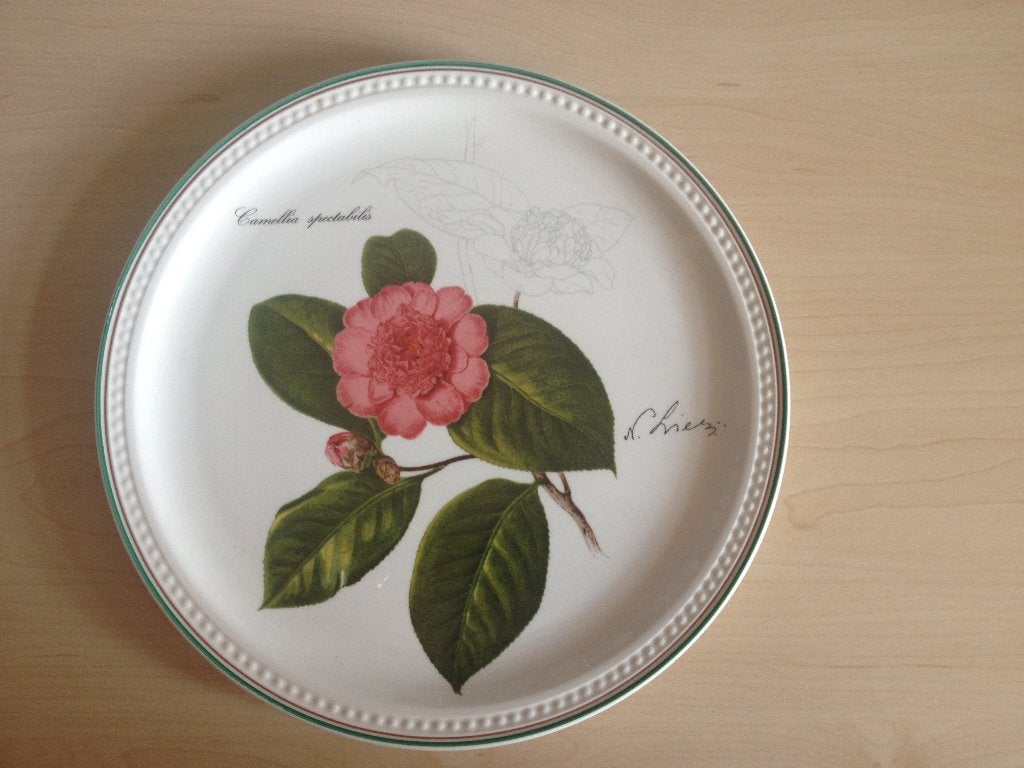 Villeroy & Boch wandbord, Ophalen of Verzenden, Zo goed als nieuw, Porselein, Bord of Schaal