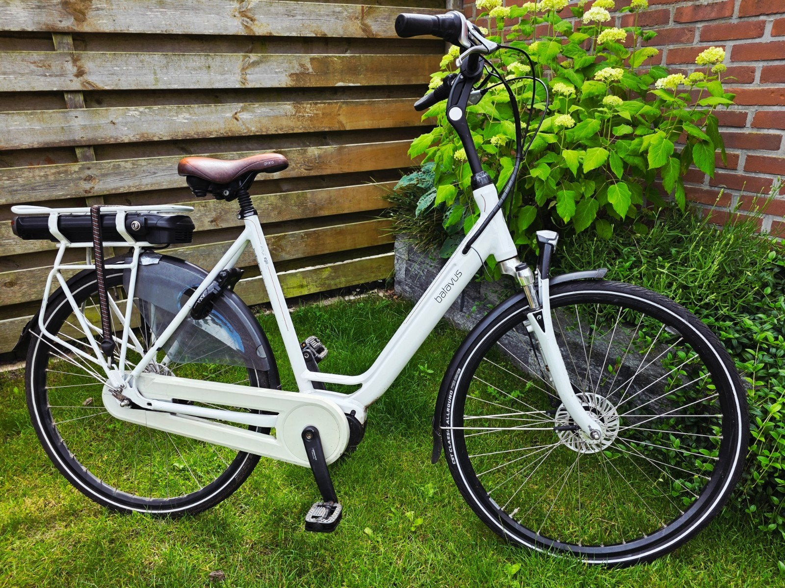 Fijne ebikes oa Koga, Sparta, Stella, Batavus vanaf € 695, Ophalen, Batavus, Zo goed als nieuw, 51 tot 55 cm