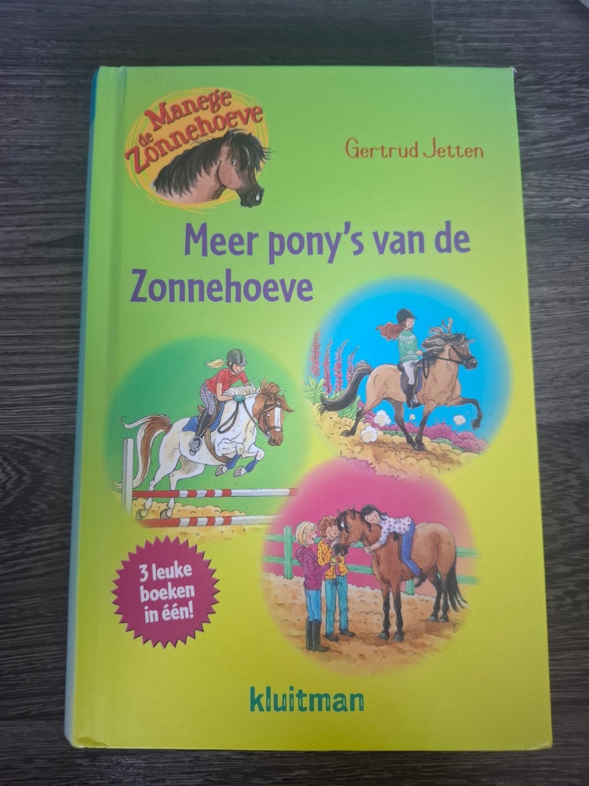 Meer pony's van de Zonnehoeve - Gertrud Jetten, Boeken, Ophalen of Verzenden, Gelezen, Gertrud Jetten, Fictie
