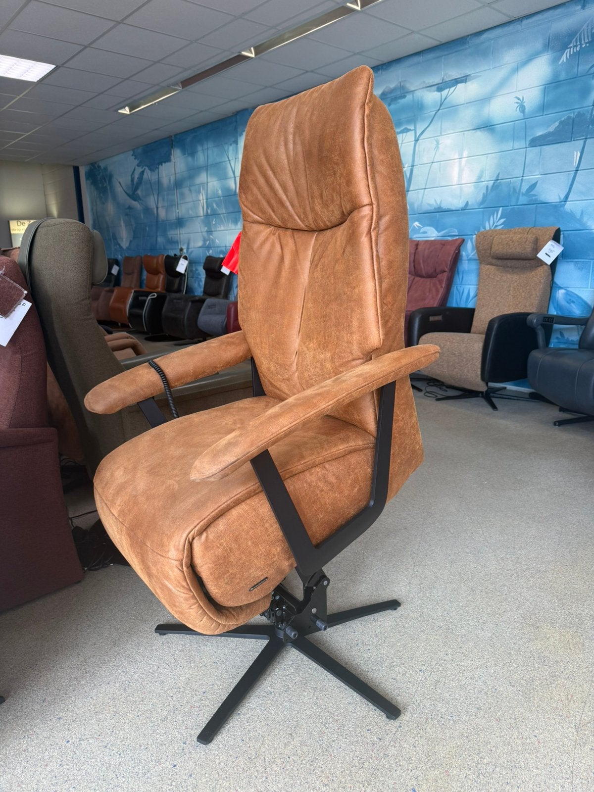 Meubelzorg Bardot sta op stoel relax fauteuil gratis bezorgd, Ophalen of Verzenden, Zo goed als nieuw, Ruim 100 A merken in alle kleuren en maten direct leverbaar
