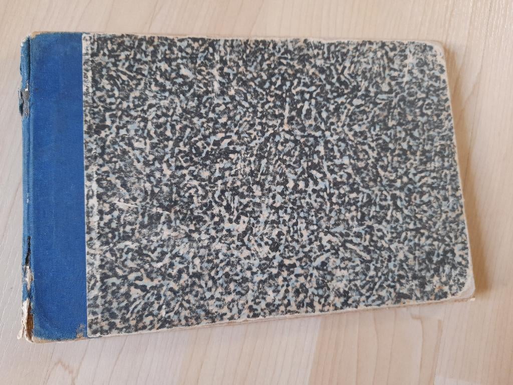 BLOKFLUIT BOEKJE VOOR BEGINNERS, Ophalen of Verzenden, Gelezen, Overige onderwerpen
