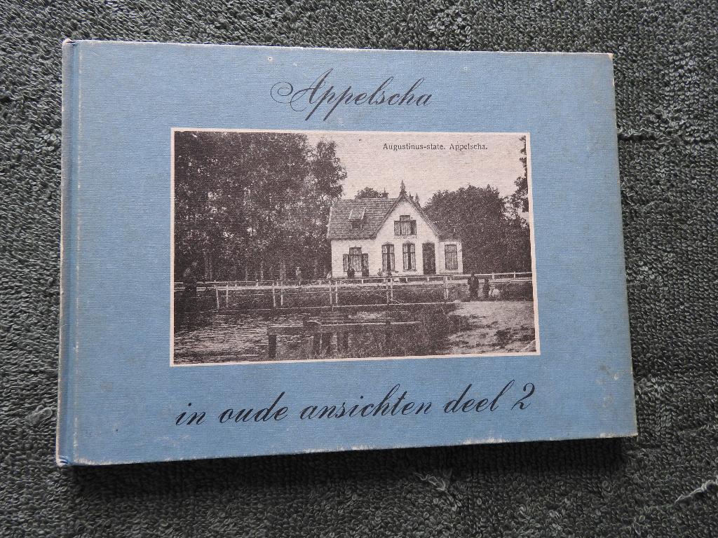 Appelscha in oude ansichten deel 2, Boeken, Ophalen of Verzenden, Gelezen