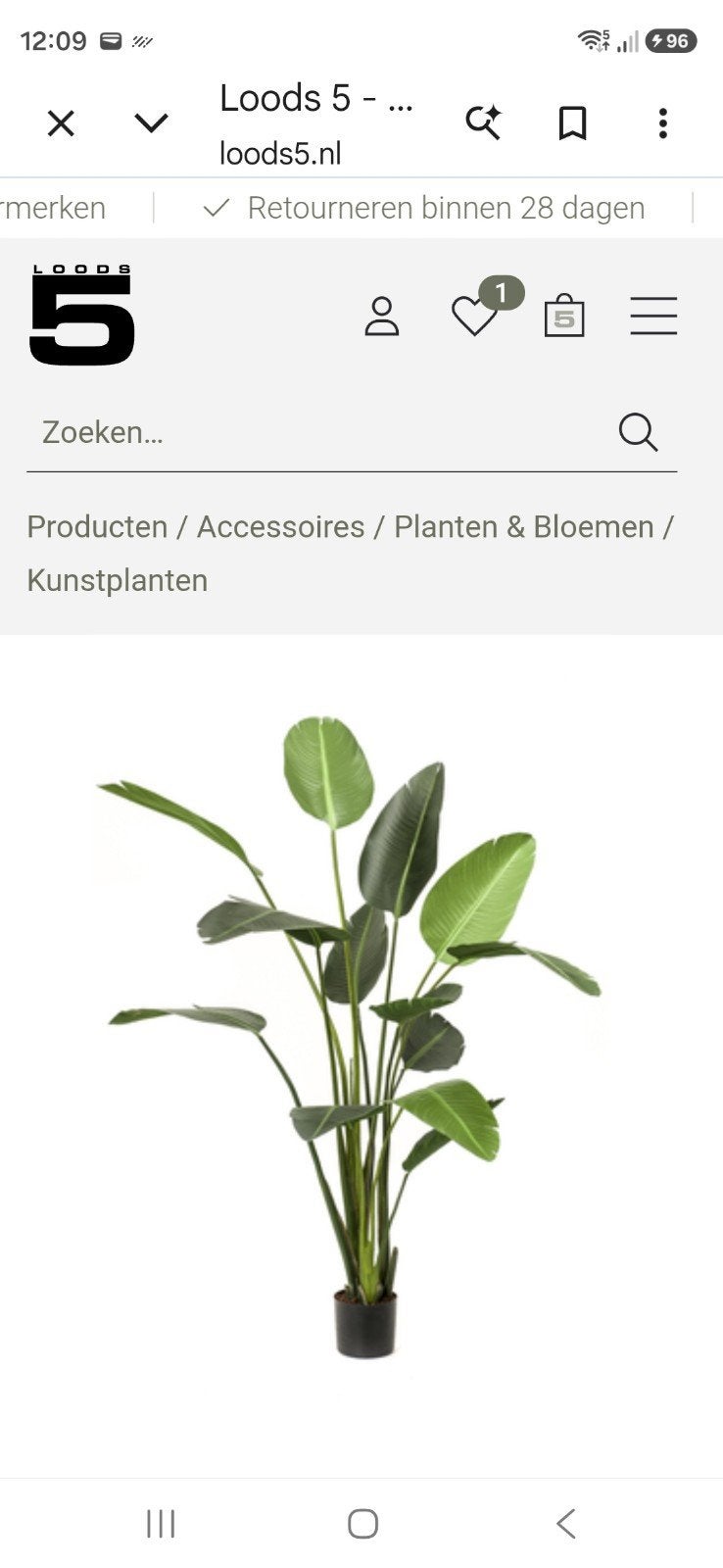 kunstplant Strelitzia Nicolai, Ophalen of Verzenden, Zo goed als nieuw