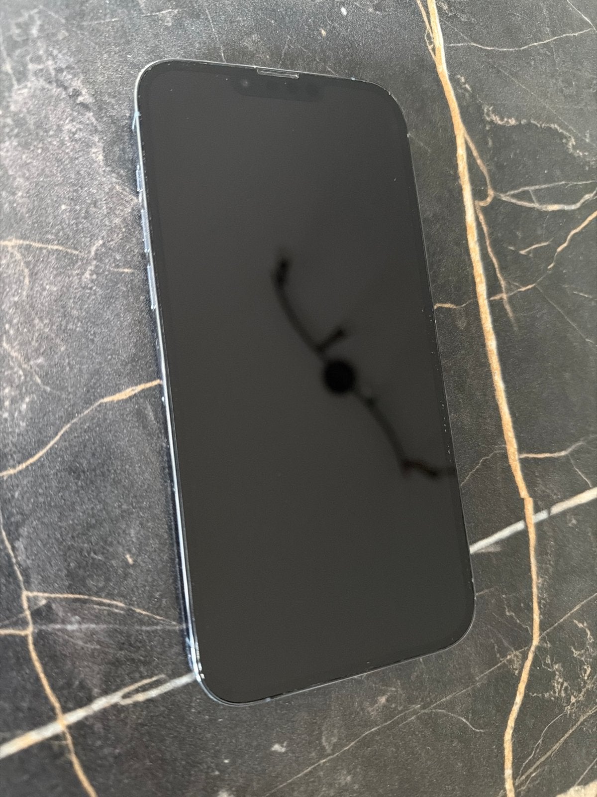 iPhone 13 Pro Max 128 GB, 128 GB, Ophalen of Verzenden, Zonder simlock, IPhone 13 Pro Max