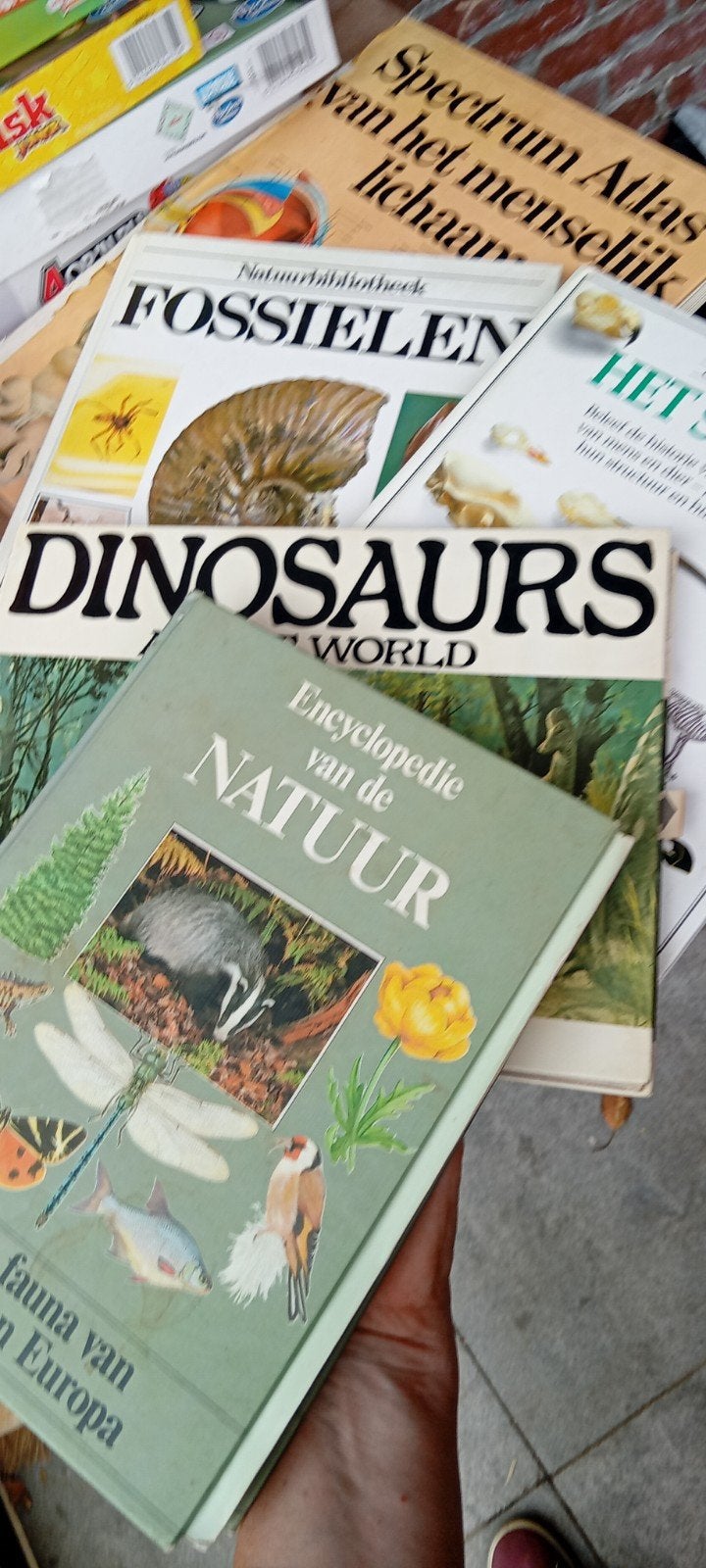 Informatieboeken: natuur, dinosaurus, fossiel, skelet/lichaa, Boeken, Ophalen, Gelezen, Natuur algemeen